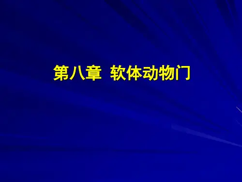 第八章-软体动物门ppt课件