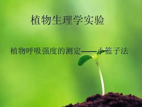 6实验4-植物呼吸强度的测定