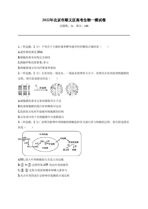 2022年北京市顺义区高考生物一模试卷