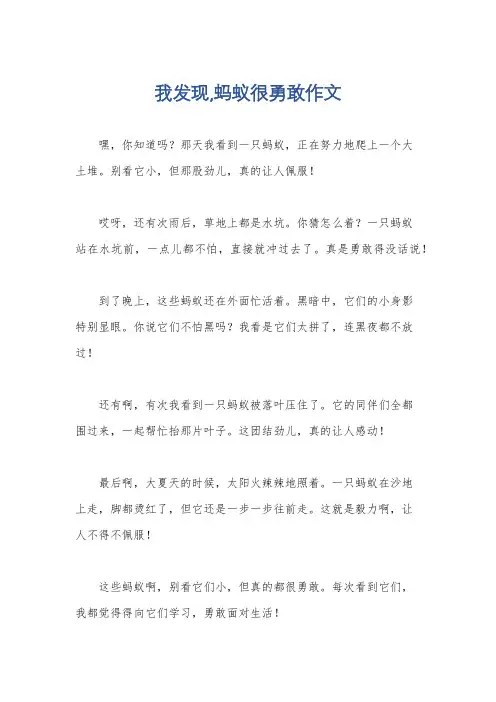 我发现,蚂蚁很勇敢作文