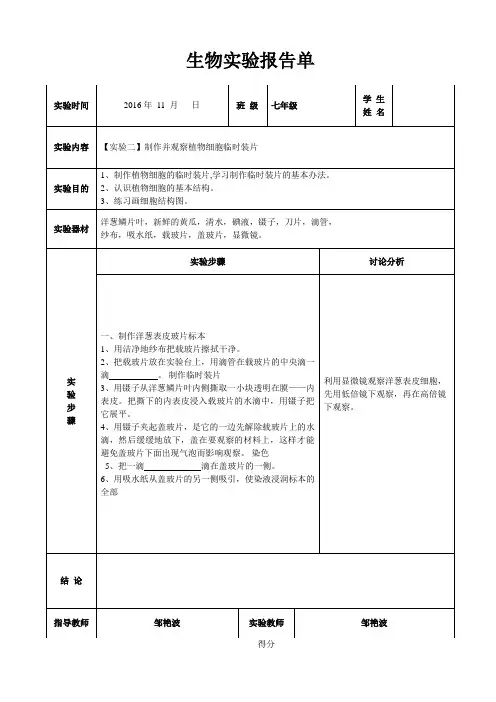 七年级上生物实验报告单4