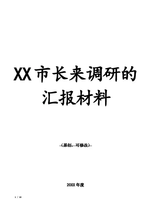 XX市长来调研的汇报材料