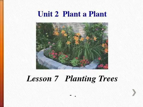 《Planting Trees》Plant a Plant PPT课件