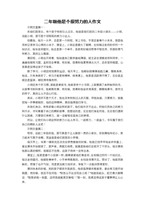 二年级他是个很努力的人作文