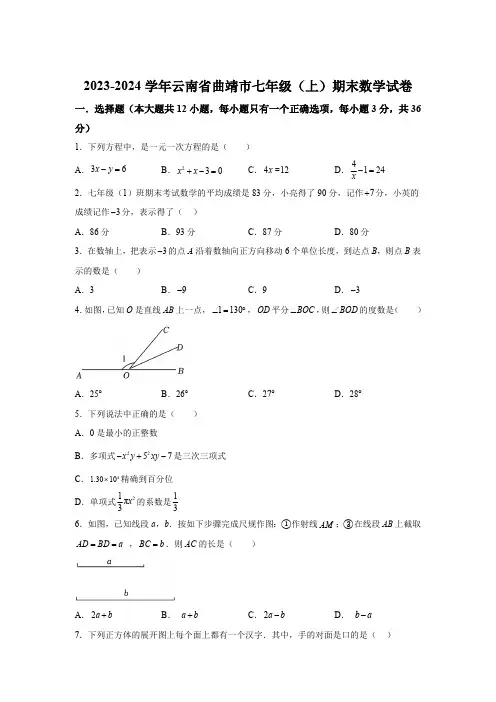 云南省曲靖市2023-2024学年七年级上学期期末数学试题(含解析)