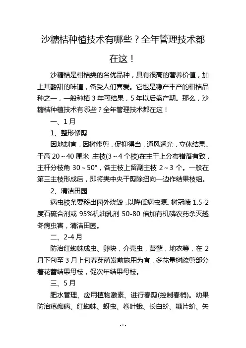 沙糖桔种植技术有哪些？全年管理技术都在这!