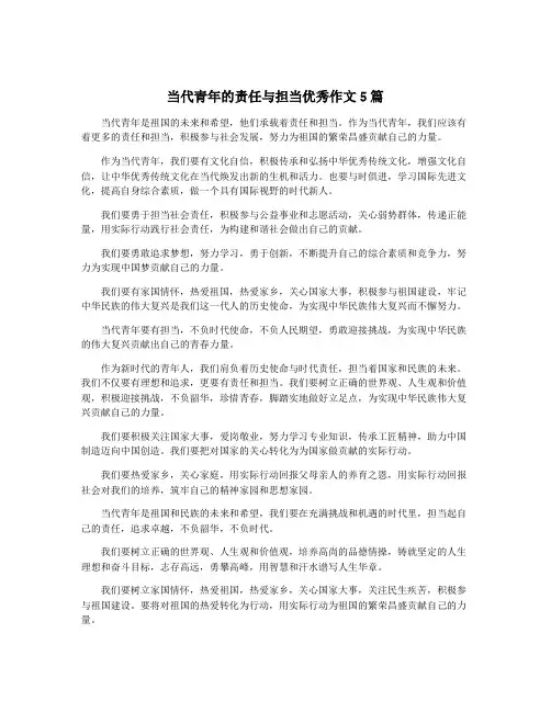 当代青年的责任与担当优秀作文5篇