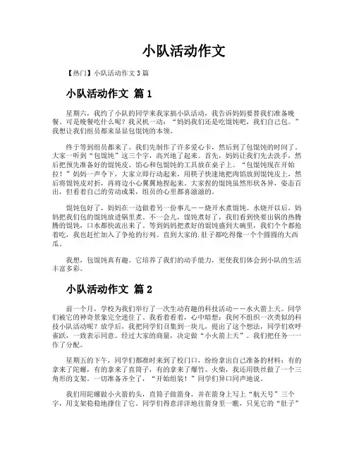 小队活动作文