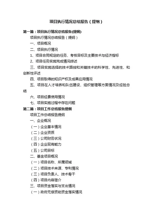 项目执行情况总结报告（提纲）