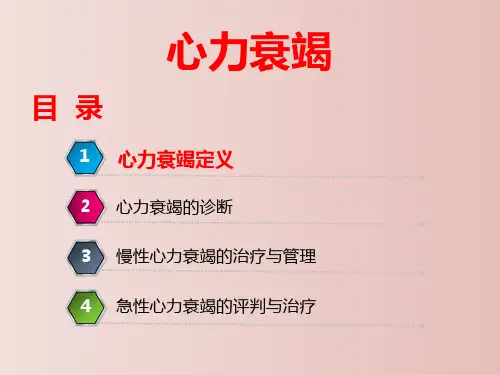 心力衰竭指南解读 教学PPT课件