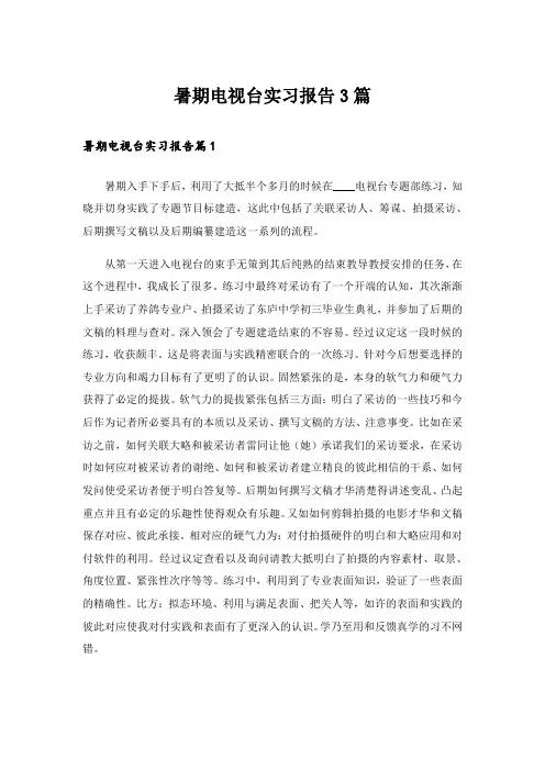暑期电视台实习报告3篇_17