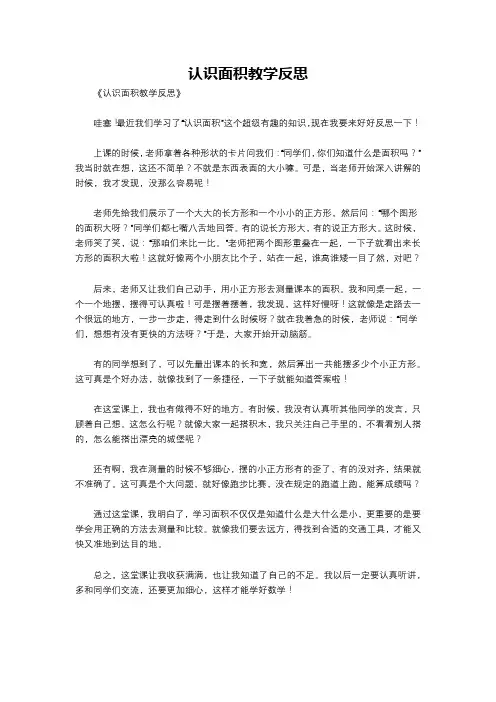 认识面积教学反思