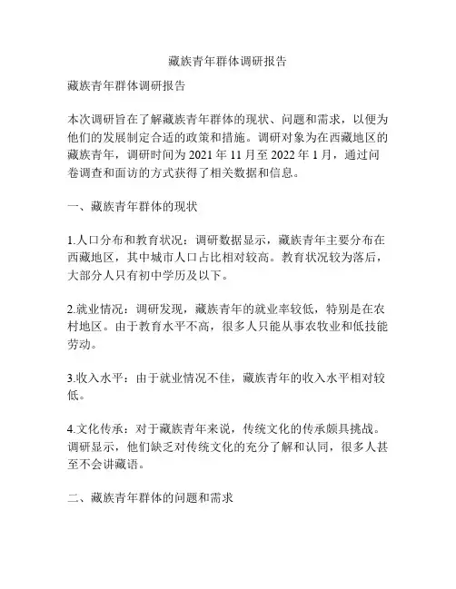 藏族青年群体调研报告