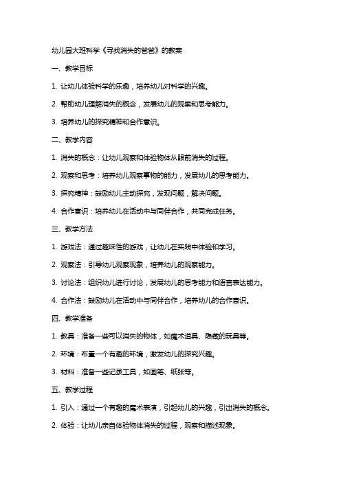 幼儿园大班科学《寻找消失的爸爸》的教案