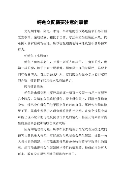 鳄龟交配需要注意的事情