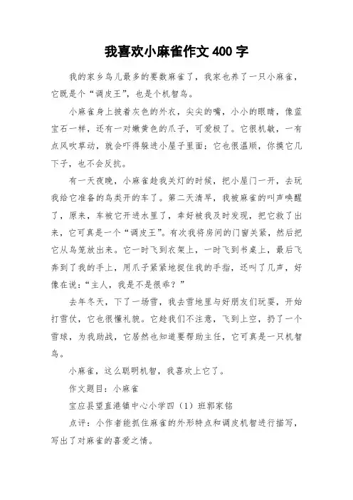 我喜欢小麻雀作文400字_作文