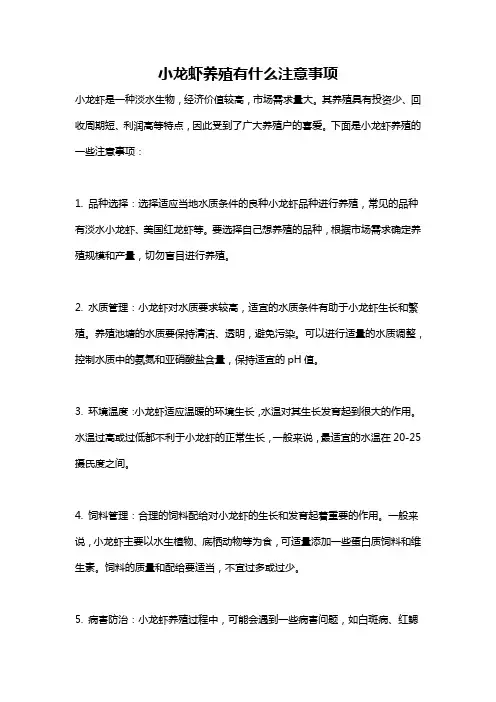 小龙虾养殖有什么注意事项
