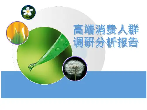 中国高端消费人群调研分析