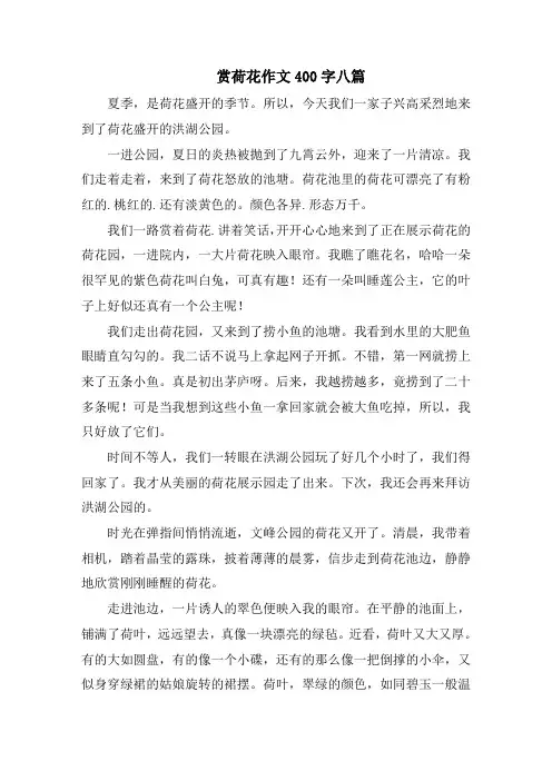 赏荷花作文400字八篇精选