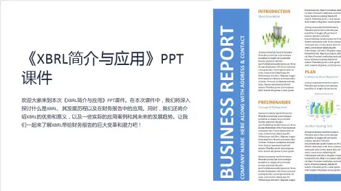 《XBRL简介与应用》课件