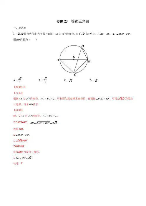 专题23 等边三角形(专项训练)(解析版)