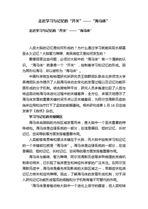 走近学习与记忆的“开关”——“海马体”