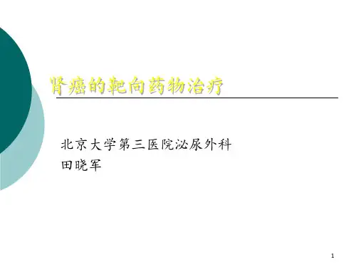 肾癌的靶向药物治疗【泌尿外科】