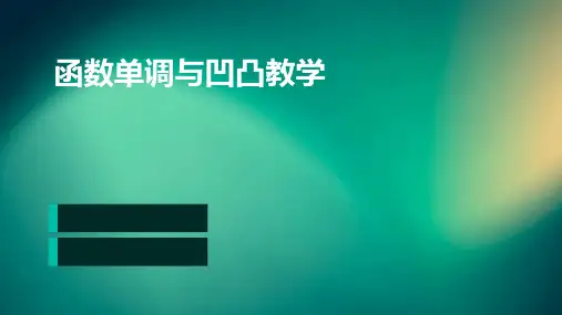 函数单调与凹凸教学