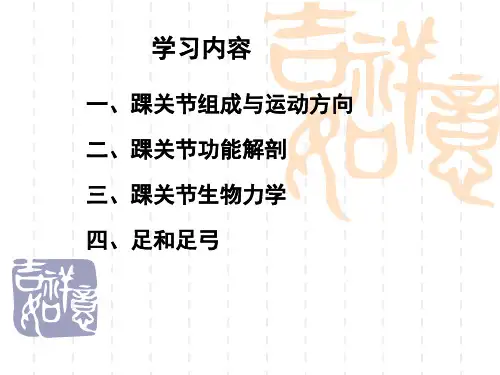 踝关节运动学