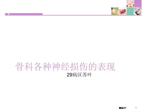 骨科各种神经损伤的表现ppt课件