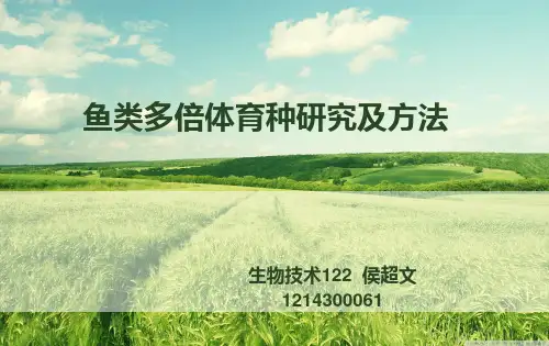 鱼类育种ppt