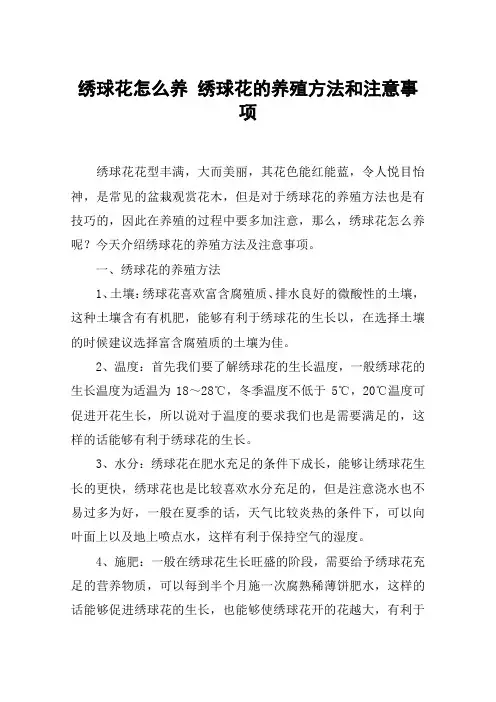 绣球花怎么养 绣球花的养殖方法和注意事项