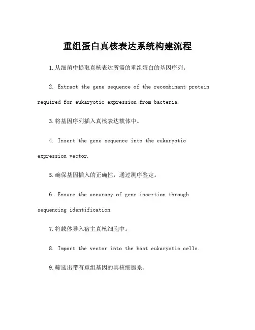 重组蛋白真核表达系统构建流程