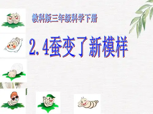 教科版三年级科学下册2.4蚕变了新模样精品课件