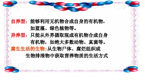 5.1生态系统的结构