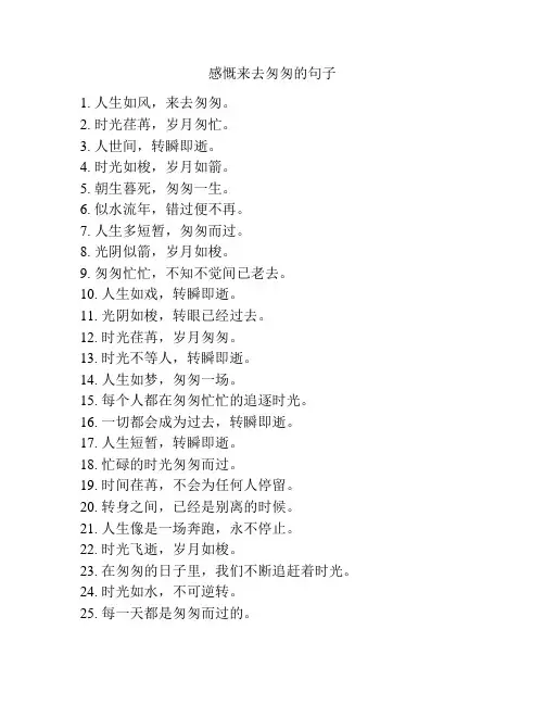 感慨来去匆匆的句子