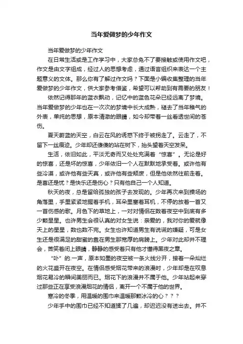 当年爱做梦的少年作文