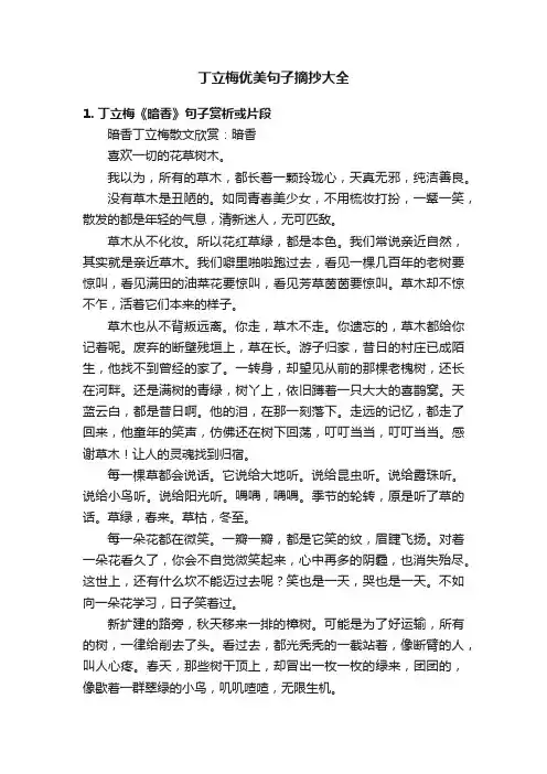 丁立梅优美句子摘抄大全