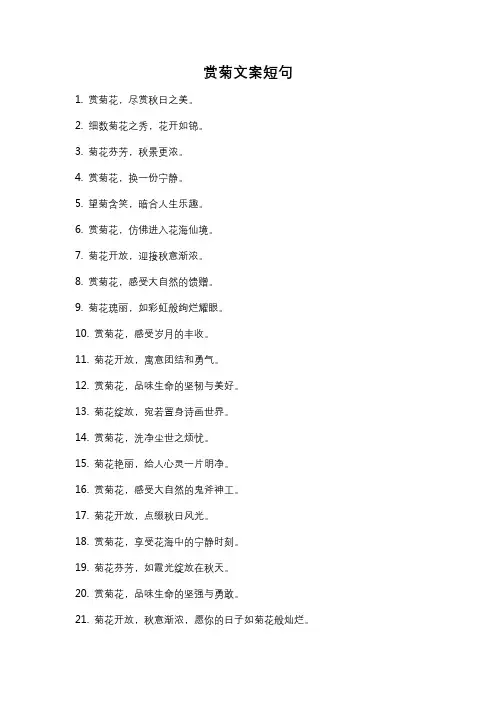 赏菊文案短句