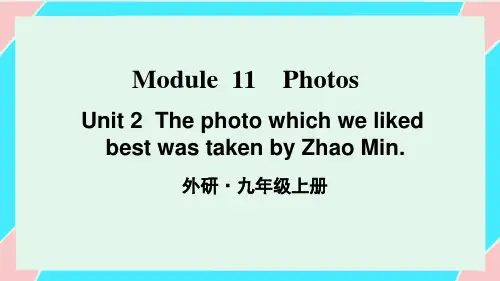 九年级英语(外研版)上册课件-【Module 11 Unit 2】