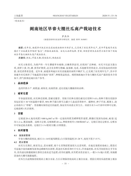闽南地区早春大棚丝瓜高产栽培技术