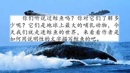 最新部编人教版五年级上册语文习作例文：《鲸》《风向袋的制作》精品课件