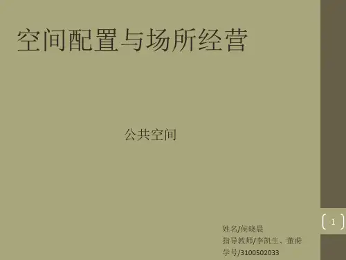纽约911国家纪念广场PPT精选文档