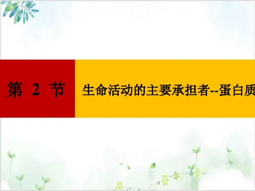 生物人教版必修一第二章---生命活动的主要承担者——蛋白质(33张)-PPT优秀课件