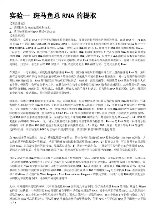 实验一 斑马鱼总RNA的提取