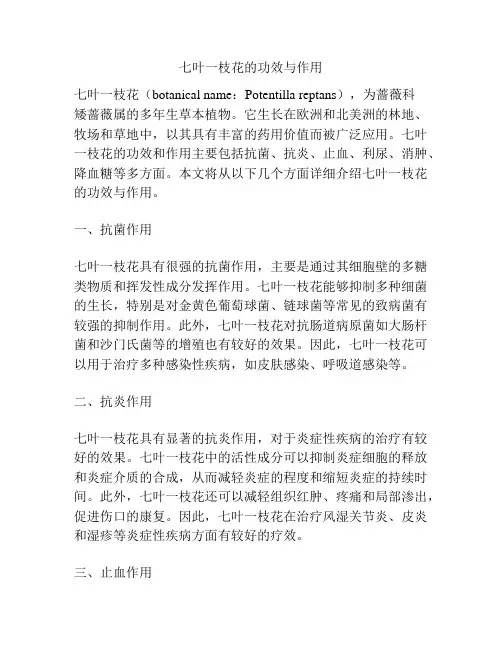 七叶一枝花的功效与作用