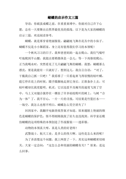 蝴蝶的启示作文三篇