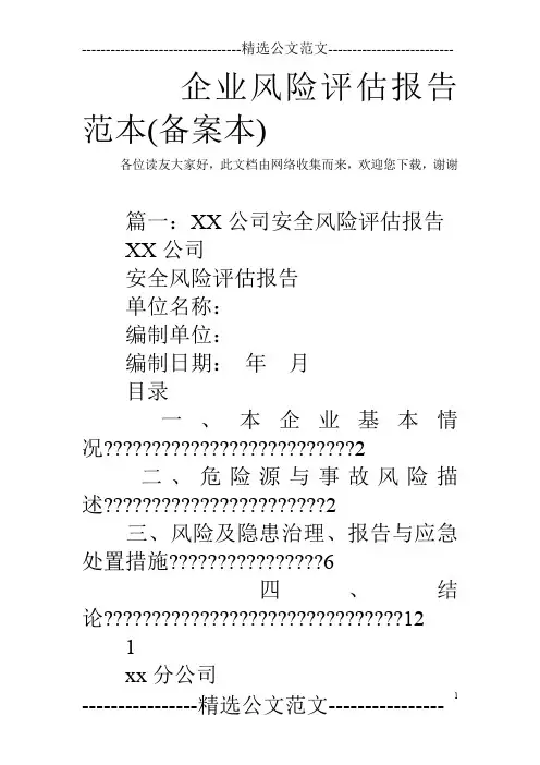企业风险评估报告范本(备案本)