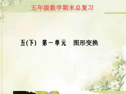 人教版小学数学五年级下册总复习课件(全册)PPT课件