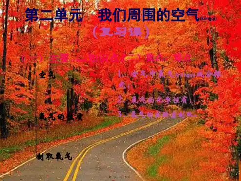 九年级化学上册 第二单元 我们周围的空气全单元复习课件 